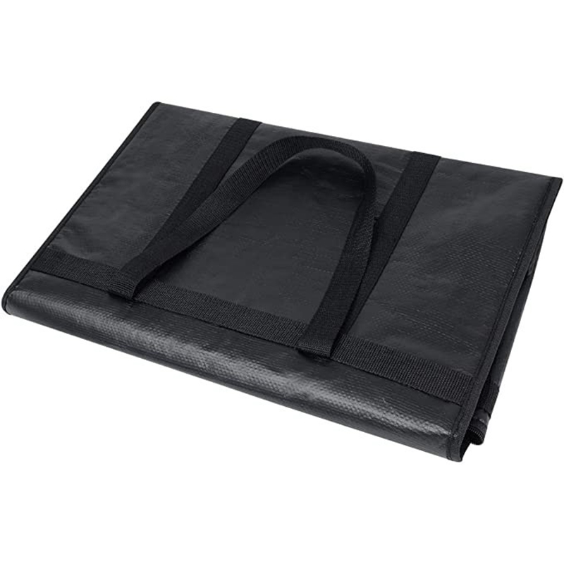 Large Insulated Delivery Bag F - Food Snacks Delivery review and price