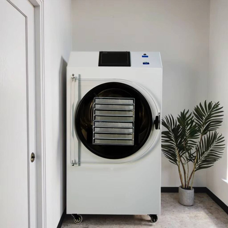 Automatic PLC-Controlled Dryin - Dried Fruit review and price